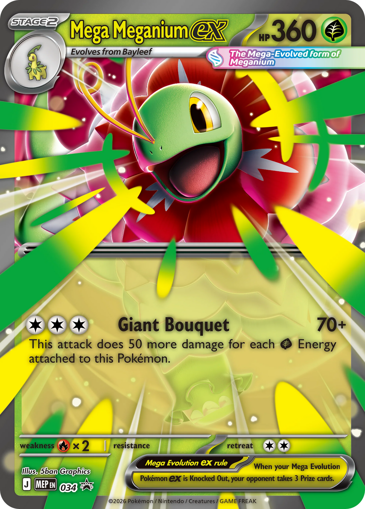Mega Meganium ex Box