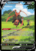 Kricketune V TG12/TG30 - Holo Rare V
